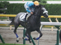 20190810 新潟7R 3歳1勝クラス ウェディングベール 16