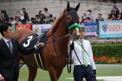 20191103 東京8R 百日草特別 2歳1勝クラス ホウオウピースフル 09