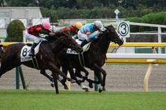 20191015 東京3R 2歳未勝利 ラグビーボーイ 23