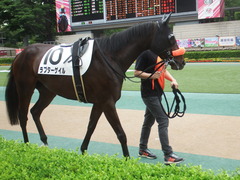 20190518 東京7R (500) ラプターゲイル 02
