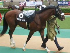 20190622 東京10R 八ヶ岳特別(2勝) ロジスカーレット 12