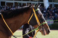 20200105 中山5R 3歳1勝クラス ルトロヴァイユ 05
