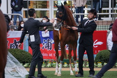 20191207 中山12R 3歳上2勝クラス クラサーヴィツァ 12
