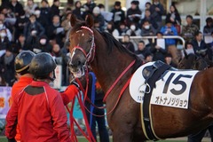 中山12R 4歳上2勝クラス オトナノジジョウ 10