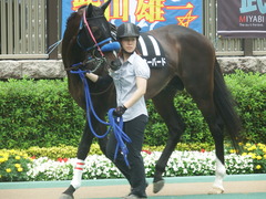20190608 東京9R 八丈島特別 1勝 ミッキーバード 14