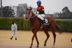 20200118 中山9R 菜の花賞 3歳牝馬1勝クラス シホノレジーナ 21