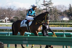 20200105 中山5R 3歳1勝クラス ルトロヴァイユ 20
