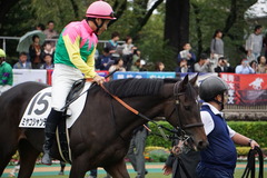20191014 東京5R 2歳メイクデビュー ミヤコシャンティ 15