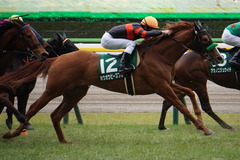 20200215 東京11R クイーンC(G3) 3歳牝馬OP ホウオウピースフル 21