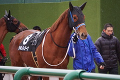 20200118 中山9R 菜の花賞 3歳牝馬1勝クラス シホノレジーナ 17