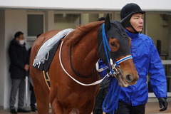 20200118 中山9R 菜の花賞 3歳牝馬1勝クラス シホノレジーナ 07