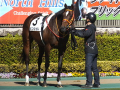 20200209 東京7R 4歳上1勝クラス ピンシェル 12