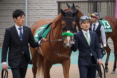 20200215 東京11R クイーンC(G3) 3歳牝馬OP ホウオウピースフル 05