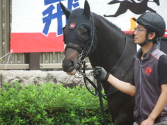 20190622 東京3R 3歳未勝利 ショウナンサジン 05