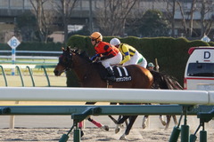 20200202 東京10R 早春S (3勝クラス) オウケンブラック 18