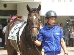 20190916 中山5R 2歳牝馬ﾒｲｸﾃﾞﾋﾞｭｰ バイカル 05