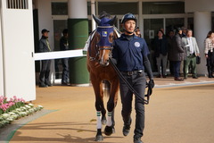 20191215 中山4R 2歳未勝利 アルソリート 09