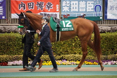 20200215 東京11R クイーンC(G3) 3歳牝馬OP ホウオウピースフル 12