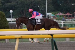 20191027 東京12R 西湖特別 3歳上2勝クラス メイショウノボサン 09