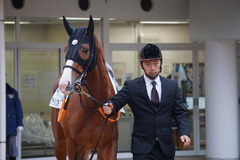 20191207 中山12R 3歳上2勝クラス クラサーヴィツァ 03