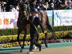 20200209 東京9R ゆりかもめ賞 3歳1勝クラス ルトロヴァイユ 10