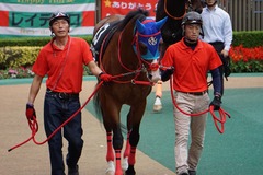 20191124 東京10R ウェルカムS (3勝) アドマイヤスコール 10