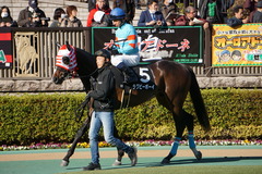 20200202 東京9R セントポーリア賞 3歳1勝クラス ラグビーボーイ 20