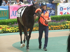 20190601 東京7R 3歳牝馬1勝 ラプターゲイル 05