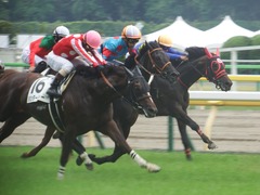 20190601 東京6R 3歳未勝利 マルニ 19