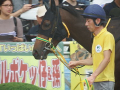 20190908 中山2R 2歳未勝利 ルトロヴァイユ 08