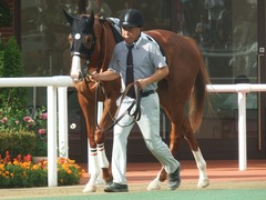 20190831 札幌12R 日高特別 3歳上2勝クラス クラサーヴィツァ 04
