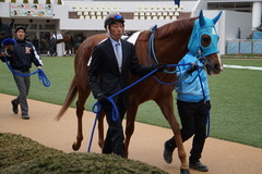 20200126 中山7R (1勝クラス) ヴァルドワーズ 07