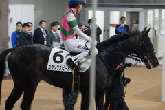 20200216 東京6R 3歳1勝クラス コウソクスピード 23