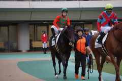 20191026 東京12R 3歳上1勝クラス ラプターゲイル 16