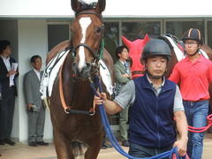 20190908 中山7R 3歳上1勝クラス ミヤコローズ 11