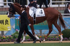 20191207 中山12R 3歳上2勝クラス クラサーヴィツァ 05