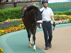 20190601 東京10R 由比ヶ浜特別 3歳上2勝 ロジスカーレット 10
