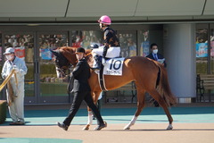 20200223 東京8R 4歳上1勝クラス クラサーヴィツァ 18