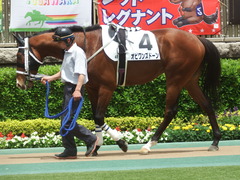 20190518 東京4R 3歳未勝利 オビワンズドーン 04