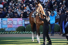20191228 中山10R 立志S(3勝クラス) ルーカス 12