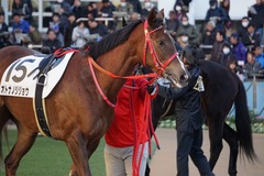 中山12R 4歳上2勝クラス オトナノジジョウ 08