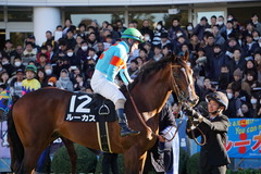 20191228 中山10R 立志S(3勝クラス) ルーカス 14