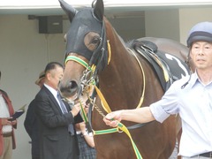 20190922 中山8R 芙蓉S 2歳OP ルトロヴァイユ 04
