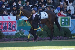 20200105 中山5R 3歳1勝クラス ルトロヴァイユ 03