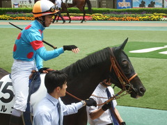 20190601 東京6R 3歳未勝利 マルニ 16