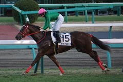 中山12R 4歳上2勝クラス オトナノジジョウ 23