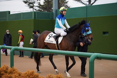 20200112 中山12R 4歳上3勝クラス アドマイヤシナイ 18