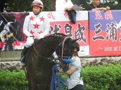 20190608 東京9R 八丈島特別 1勝 ミッキーバード 20