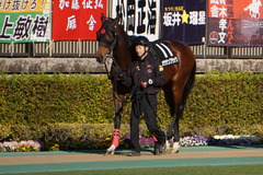 20200202 東京10R 早春S (3勝クラス) オウケンブラック 05