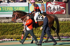 20200202 東京10R 早春S (3勝クラス) ホウオウドリーム 17
